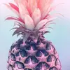 Darci Carter - @darci.carter - TikTok