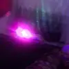 Darcy Chapman - @darcy.chapman81 - TikTok
