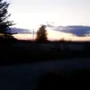 Darcy Chapman - @darcy.chapman1 - TikTok