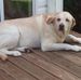 Darcie Clark - Facebook