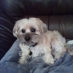 Darcie Cobb - Facebook