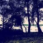 Darcie Conners - @darcieconners - Instagram