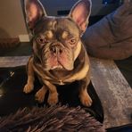 Darcey Cooper - Facebook