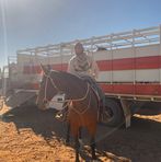 Darcy Cotton - Facebook