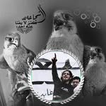 𓍲𓅓ﭑﭑﻟۦۘۦﺸۦۘۦﺮس ﭑﺂﻟۦۘۦﺸۦۘۦﭑﭑﯛﯛي - @darciecoxludi - Instagram