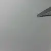 Darcy Crane - @darcy.crane3 - TikTok