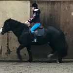 Darcie Dean - @dark_darc - Instagram