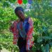 Kevin Danie's - Facebook