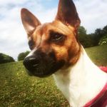 Darcey Duke - @elinorduke - Instagram