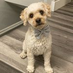 Darcie Duker - @darcie.duker - Instagram