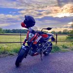 Darcy Duke :) - @datduke999 - Instagram