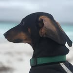 Darcy Dunn - @darcydunnroundaustralia - Instagram
