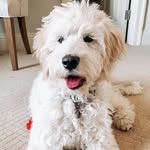 Darcy Dunn - @darcy.doodette - Instagram