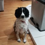 Darcie Durham - Facebook