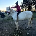 Darcey Evans - Facebook
