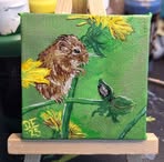 Darcie Evans - Facebook