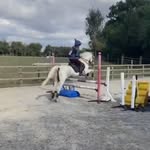 Darcy Evans - @darcyevans100 - Instagram