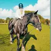 Darcie🍂🤎 - @darcie.fox1 - TikTok