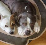 Darcie Fox - Facebook