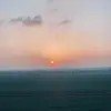 Darcie Fox - @darcie.fox3 - TikTok