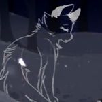 ... - @darcie_the_fox - Instagram