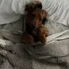 Darci Fredericks - @darci.fredericks - TikTok