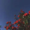 darcie_george1 - @darcie_george1 - TikTok