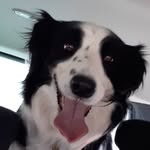 darcy George - @darcpriv2004 - Instagram