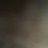 darci gibson530 - @darcigibson530 - TikTok