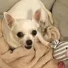 Darcie - @darcie..gill - TikTok