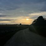 Darcie Gill - Facebook