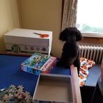 Darcey Gilmore - Facebook