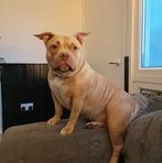 Darcy Griffin - Facebook