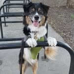 Darcy Hammond - @dhhammond - Instagram