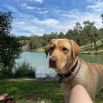 Darcie - @darcie.harper - Instagram