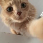 Benjiman Darcie Harrison - @benjimandarcie - Instagram