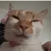 Darcieharrisonx - @darcieharrisonxx - TikTok