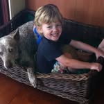 Darcy Harrison - @darcy.harrison_ - Instagram