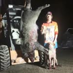 Darcy Harrison - @darcy_harrison00 - Instagram