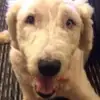 Darcy Hendricks - @darcy.hendricks - TikTok