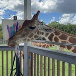 Darcie DeAngelis Hickman - @darcie_lynne_hickman - Instagram