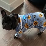 Darcy Hurst - @gonarchueko - Instagram