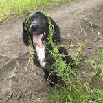 Darcie Jackson - @the_real_dariedog - Instagram