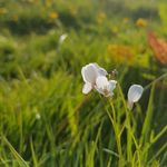 darcie Jarvis - @__unicorn_photography__ - Instagram