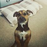 darcie king - @darciekin - Instagram