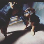 Darcie King - @darcietheunicorn1 - Instagram