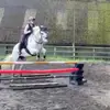 𝐃𝐀𝐑𝐂𝐈𝐄 ꨄ - @darcie.lowe22 - TikTok