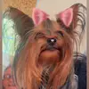 Darcey Miller - @darcey.miller4 - TikTok