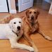 Darcie Miller - Facebook