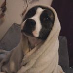 Darcie Miller - @darcie.miller.77 - Instagram